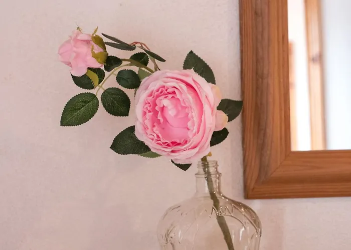 Casita - Your In Flores *