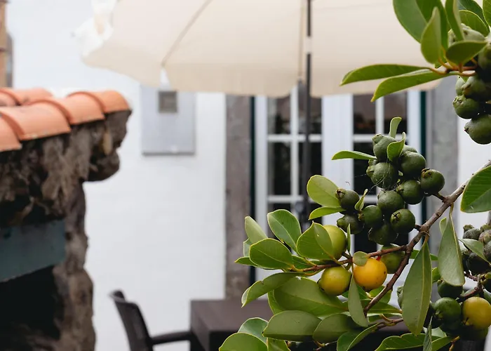 شقة Casita - Your In Flores