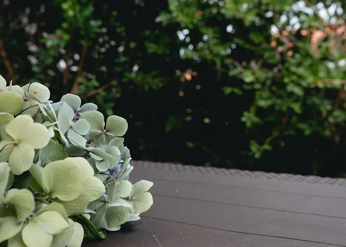 شقة Casita - Your In Flores Lajes das Flores