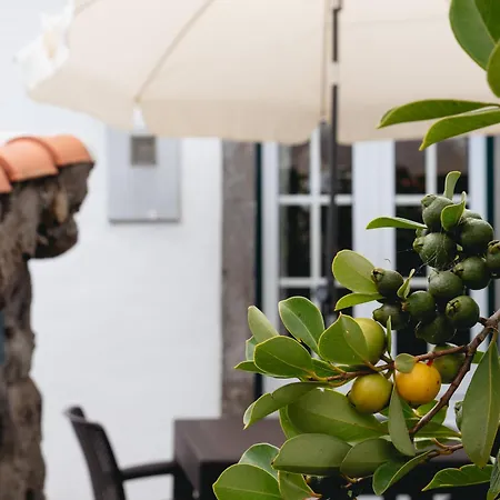 Apartamento Casita - Your In Flores