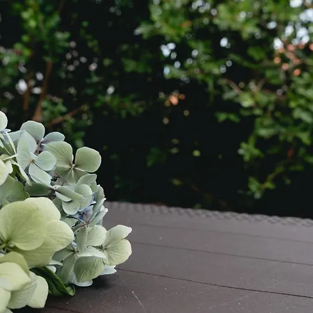 Apartamento Casita - Your In Flores Lajes das Flores